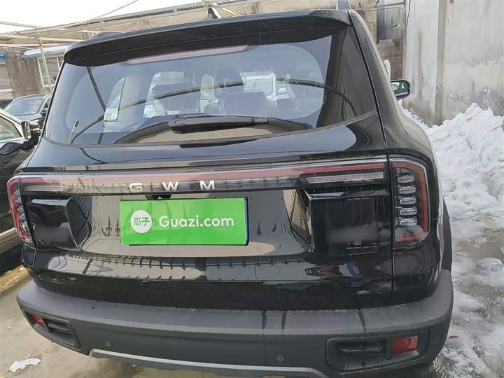 Фото 6 - Haval Dargo