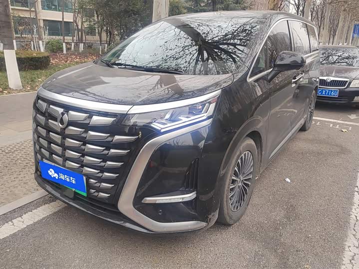 Фото 1 - Denza D9