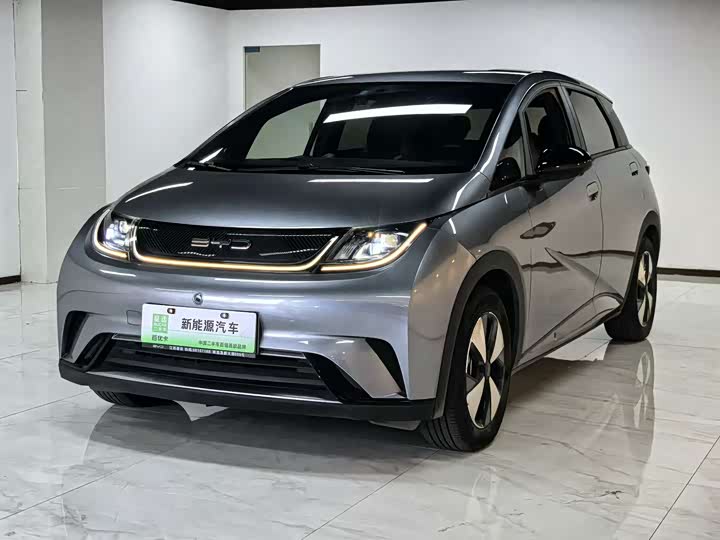 Фото 1 - BYD Dolphin