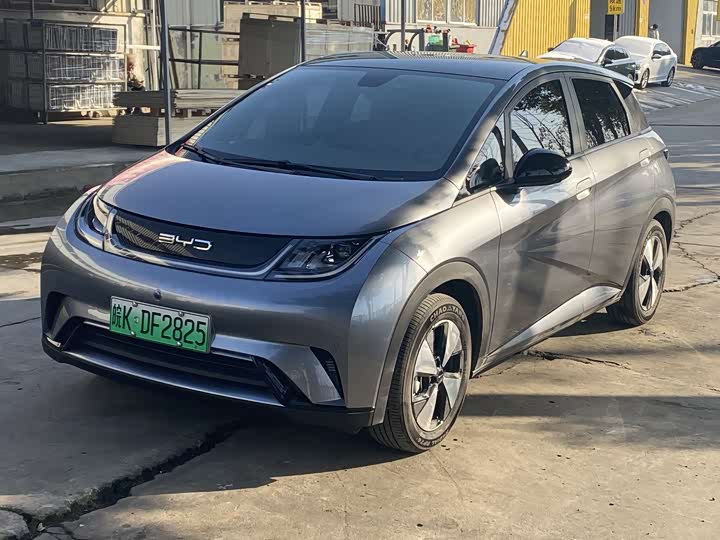 Фото 1 - BYD Dolphin