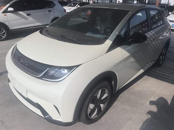 Фото 1 - BYD Dolphin