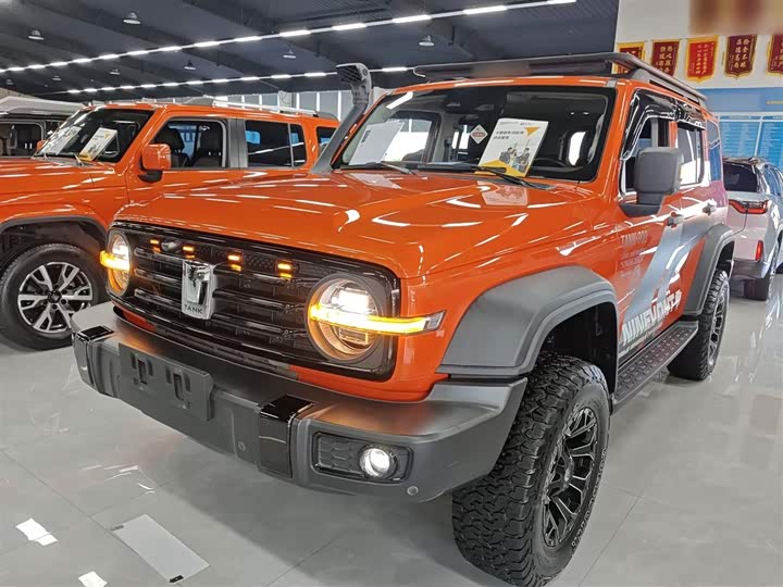 Фото 2 - Tank 300