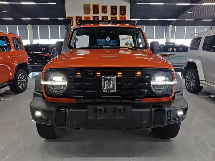 Фото 3 - Tank 300