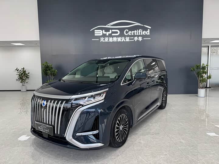 Фото 1 - Denza D9