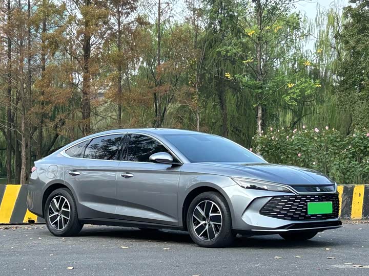 Фото 3 - BYD Qin L