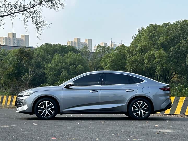 Фото 4 - BYD Qin L