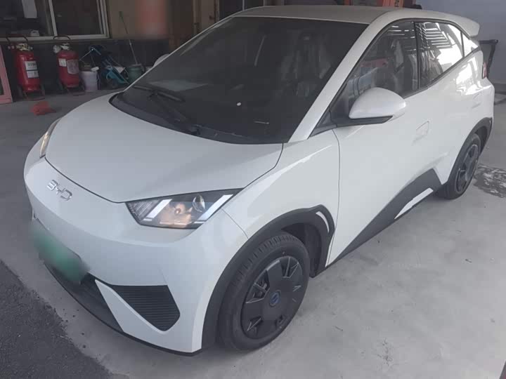 Фото 1 - BYD Seagull