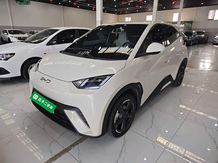 Фото 2 - BYD Seagull