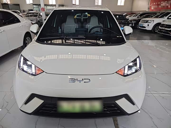 Фото 3 - BYD Seagull