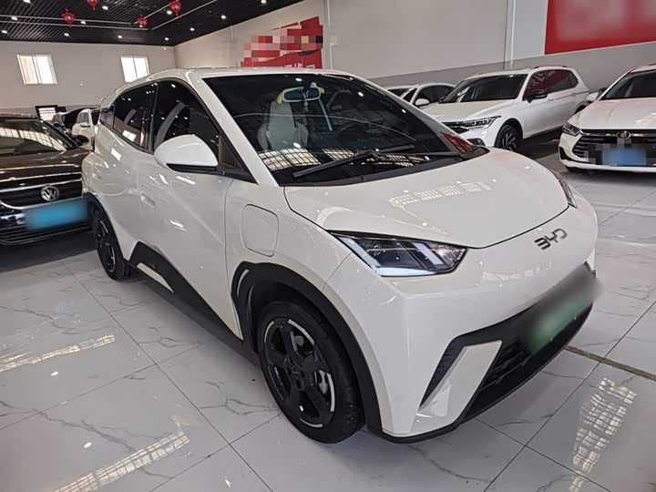 Фото 4 - BYD Seagull