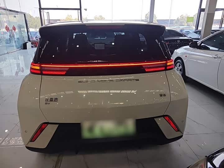 Фото 6 - BYD Seagull