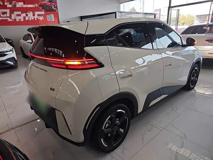 Фото 7 - BYD Seagull