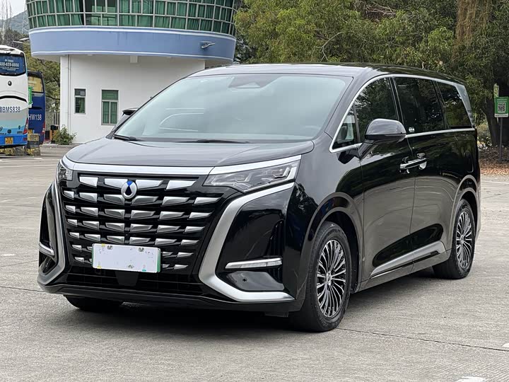 Фото 1 - Denza D9