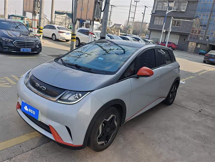 Фото 1 - BYD Dolphin