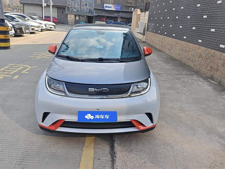Фото 2 - BYD Dolphin