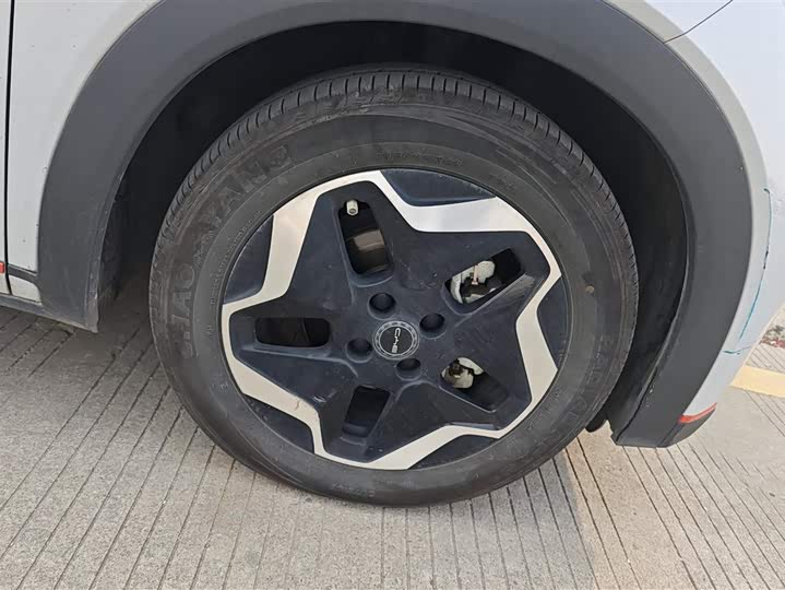 Фото 6 - BYD Dolphin