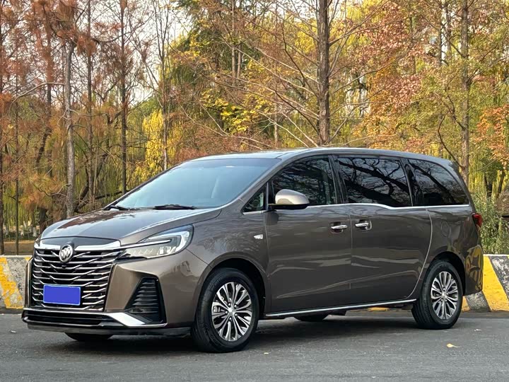 Фото 1 - Buick GL8 ES