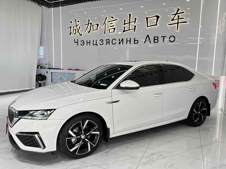 Фото 1 - Skoda Octavia Pro