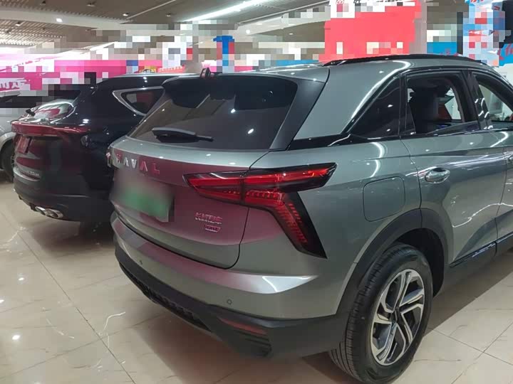 Фото 6 - Haval Ruge
