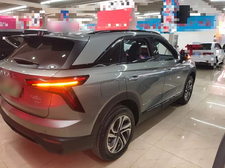 Фото 7 - Haval Ruge