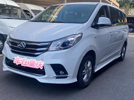 Фото 1 - Maxus G10