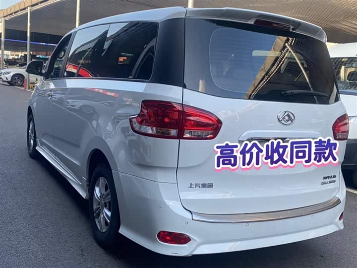 Фото 6 - Maxus G10