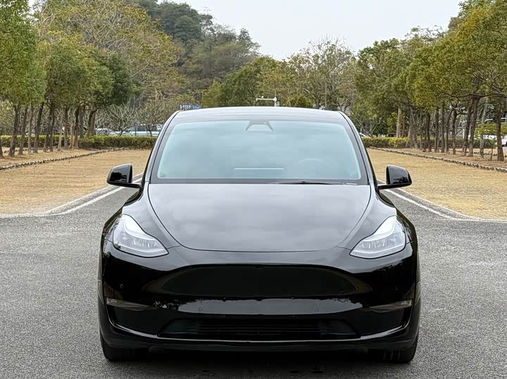Фото 2 - Tesla Model Y