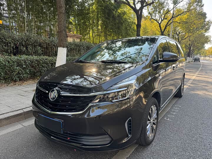 Фото 1 - Buick GL8 ES