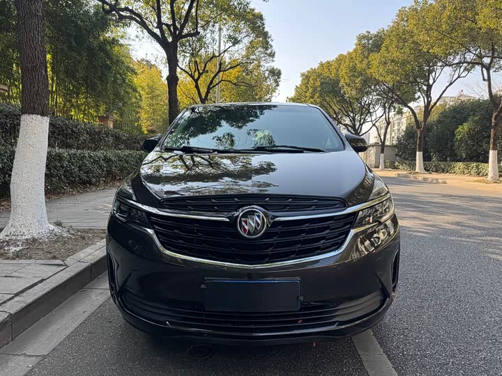 Фото 2 - Buick GL8 ES