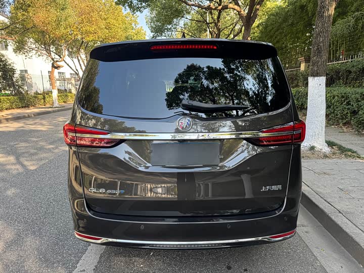 Фото 5 - Buick GL8 ES