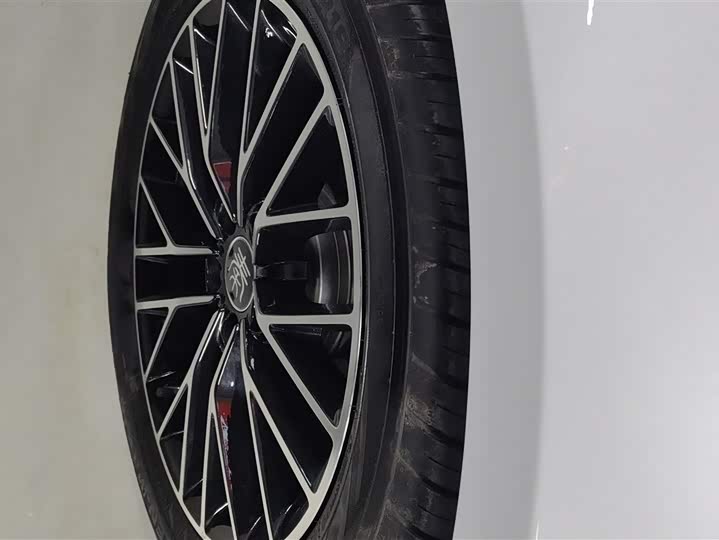 Фото 6 - BYD Qin L