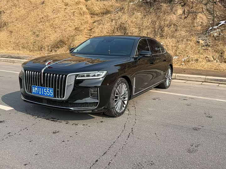 Фото 1 - Hongqi H9