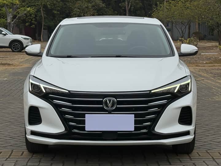 Фото 2 - Changan Eado Plus