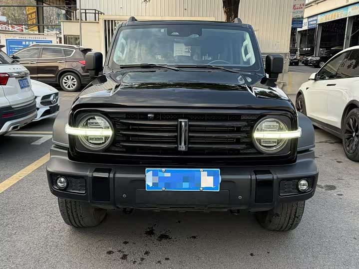 Фото 2 - Tank 300