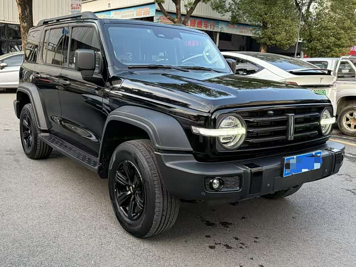 Фото 3 - Tank 300