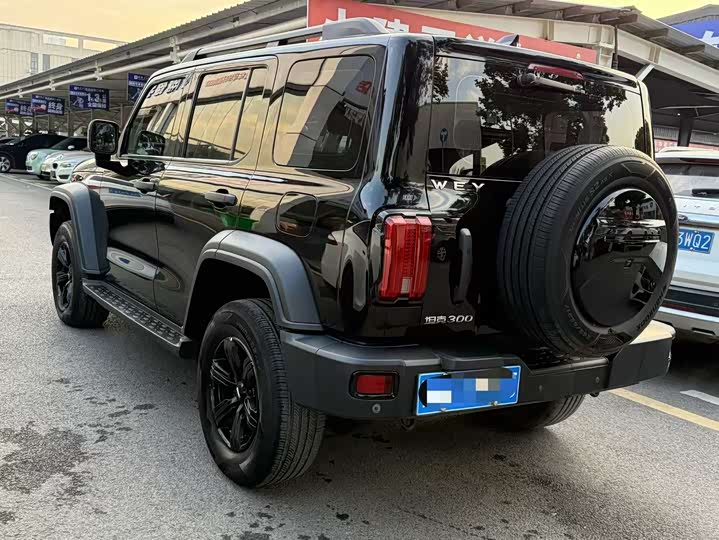 Фото 7 - Tank 300