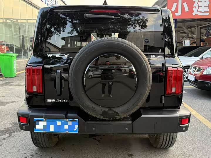 Фото 9 - Tank 300