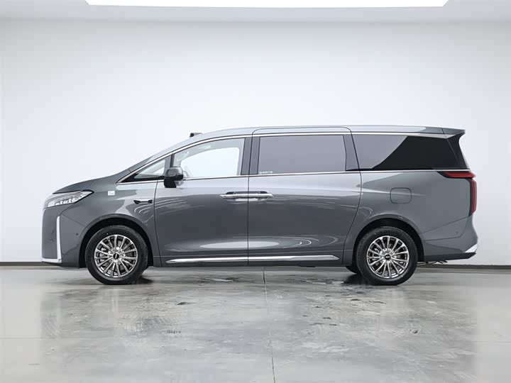 Фото 5 - Wey Gaoshan