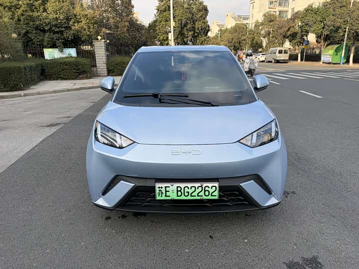 Фото 1 - BYD Seagull