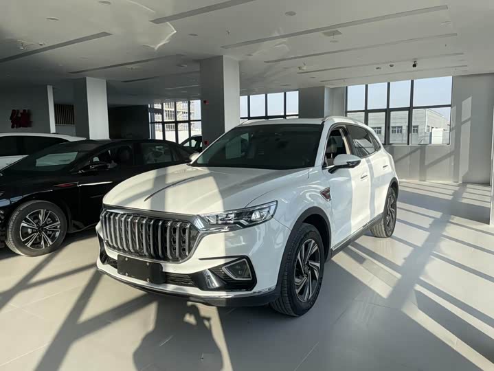 Фото 1 - Hongqi HS5