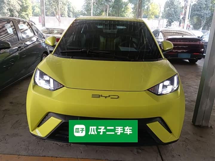 Фото 3 - BYD Seagull