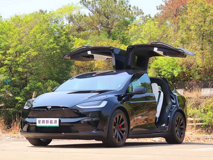 Фото 1 - Tesla Model X