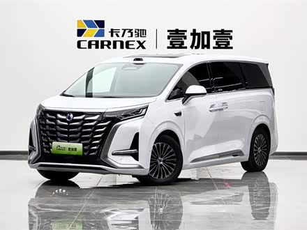 Фото 1 - Denza D9