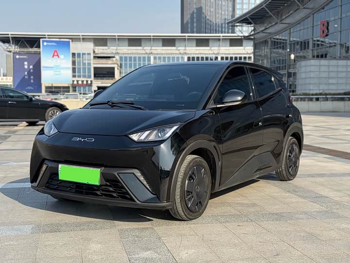 Фото 1 - BYD Seagull