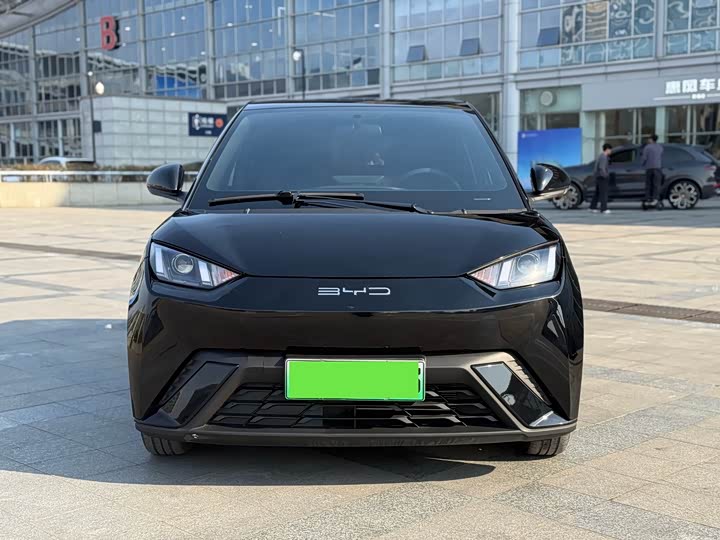 Фото 2 - BYD Seagull