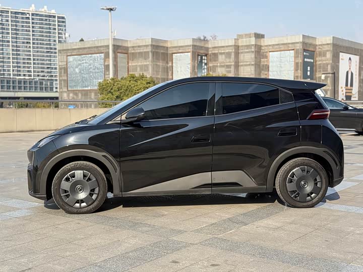 Фото 3 - BYD Seagull