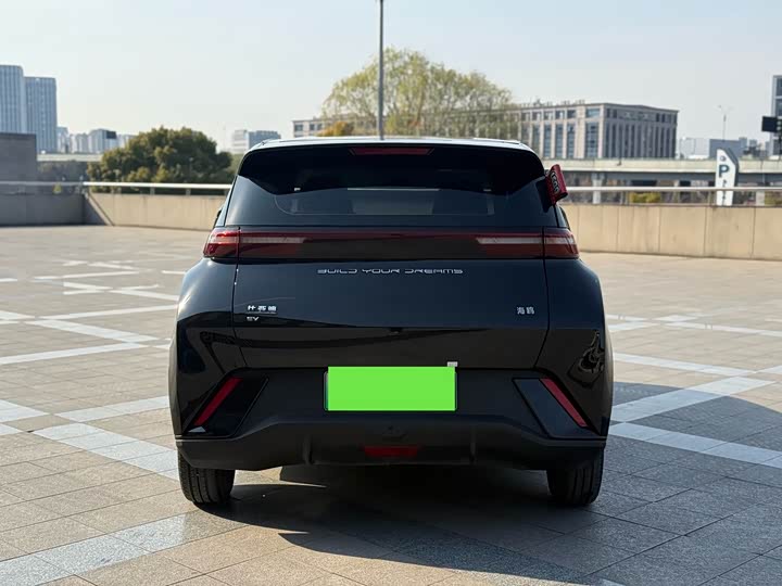 Фото 9 - BYD Seagull