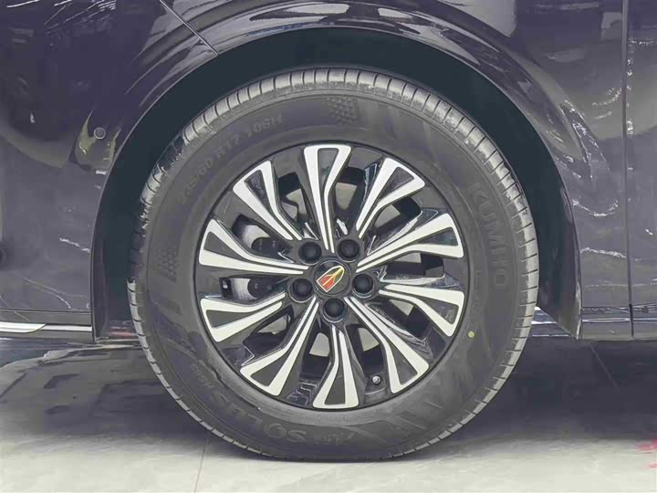 Фото 4 - Hongqi HQ9 Hybrid