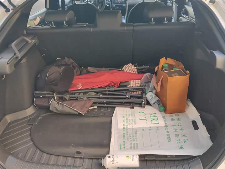 Фото 4 - Honda Civic