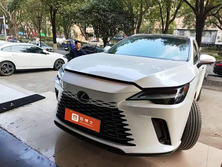 Фото 1 - Lexus RX Hybrid